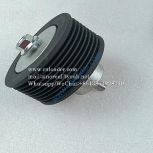 Pulley 800142923