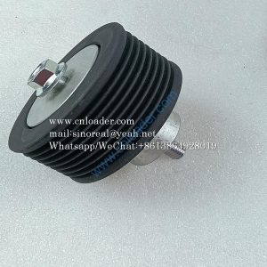 Pulley 800142923