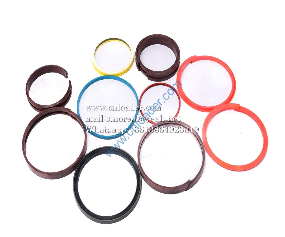 SANY parts seal repair kit - for hydraulic cylinder D165/105 445766