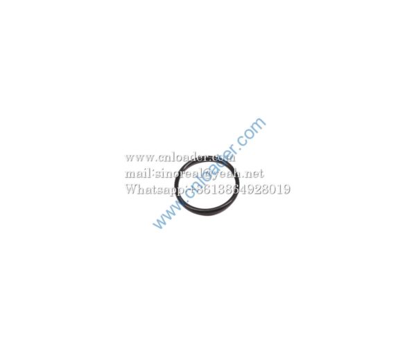 SANY parts O-ring 60195580