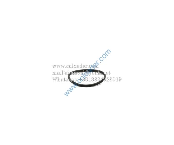 SANY parts O-ring 60195580