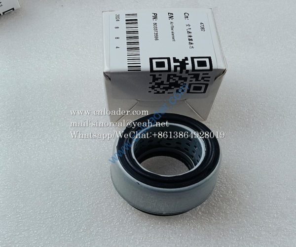 PAG2X air filter element 803373596 - Image 2