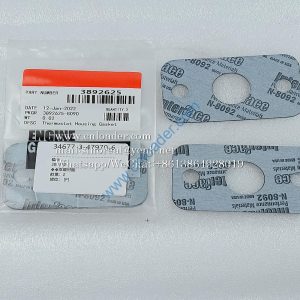3892625 Gasket