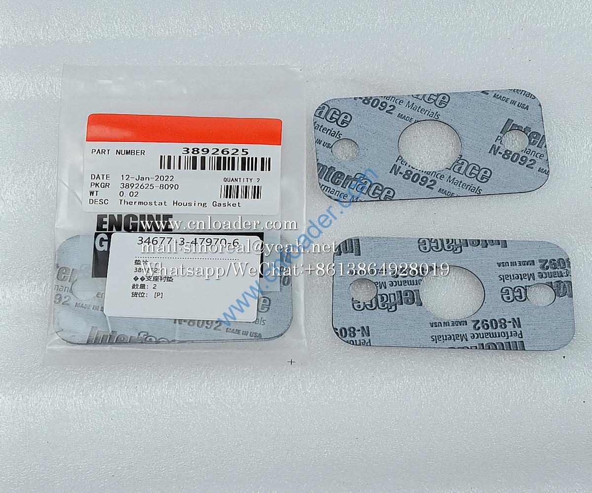 3892625 Gasket