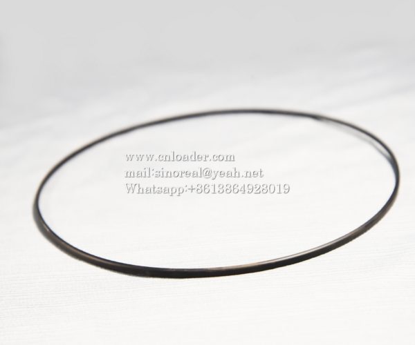 SANY parts 60198061 HBY seal ring 180×195.5×6