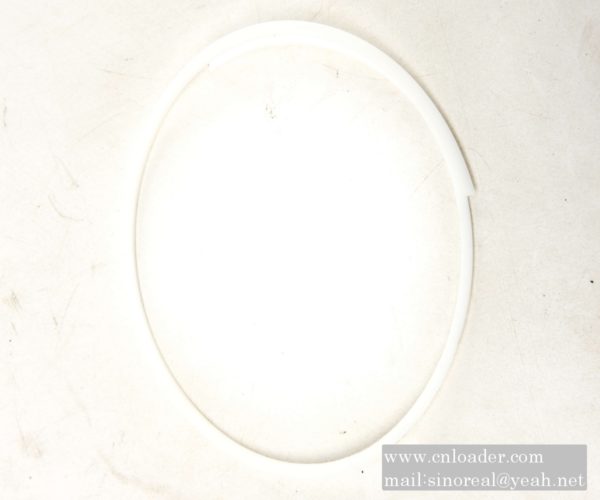 SANY parts 60206877 BH retaining ring 124×118×1.4