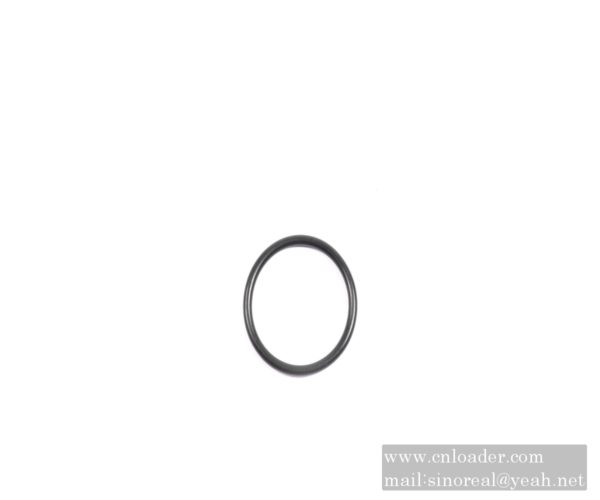 SANY parts 60207538 O-ring 37.69×