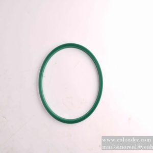 SANY parts 60208099 ZBR seal ring 200×220×