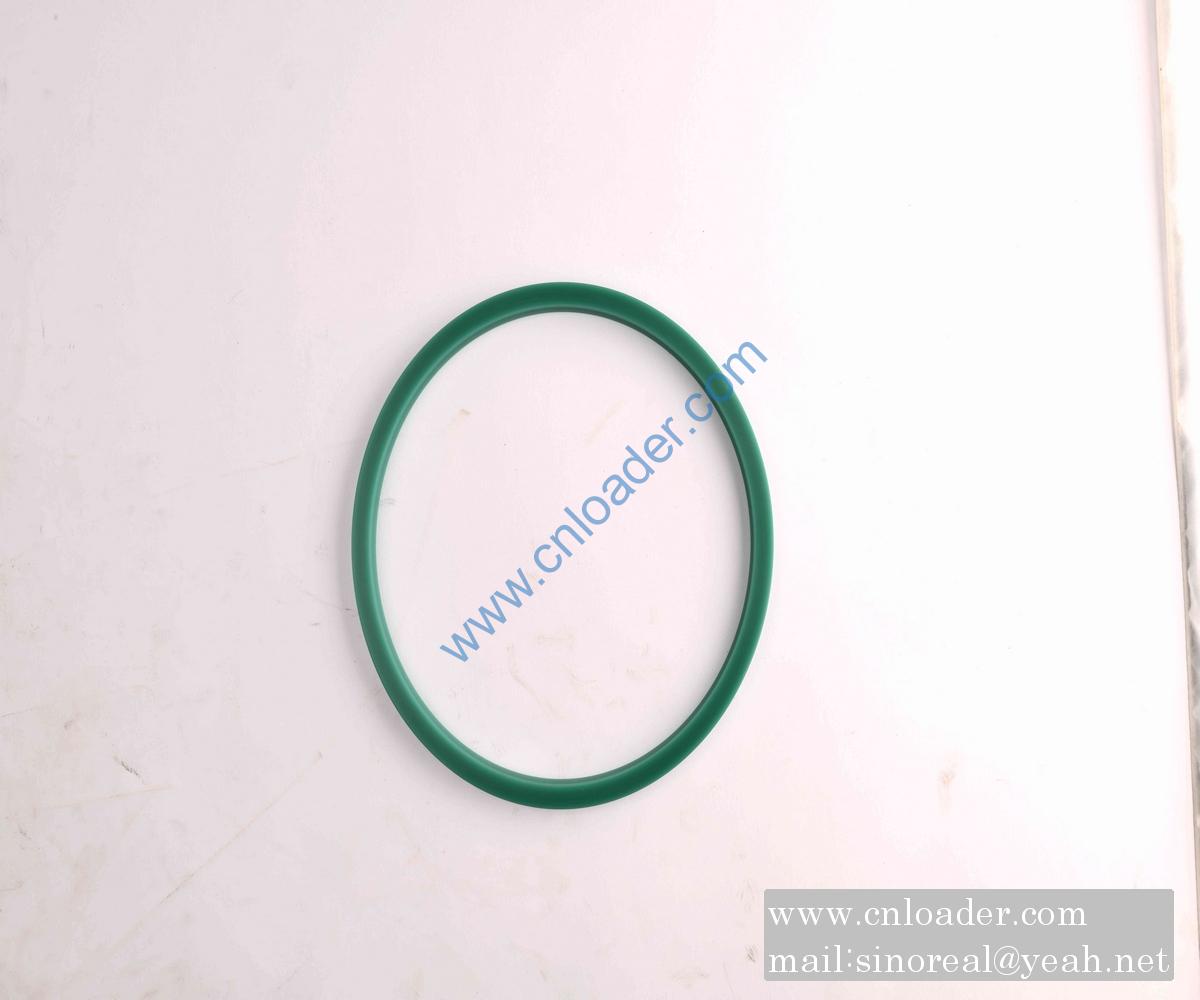 SANY parts 60208099 ZBR seal ring 200×220×