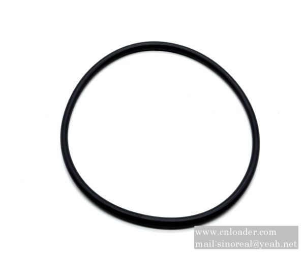 SANY parts 60208150 OE seal ring 190×169×