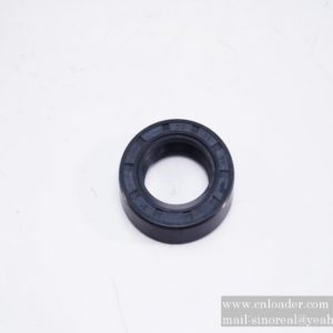 SANY parts 60209624K skeleton oil seal 30×50×