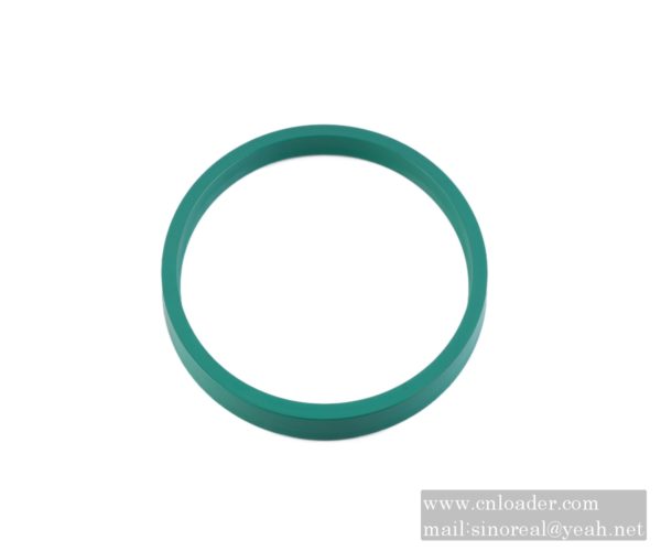 SANY parts 60210038 B3 seal ring 180×200×