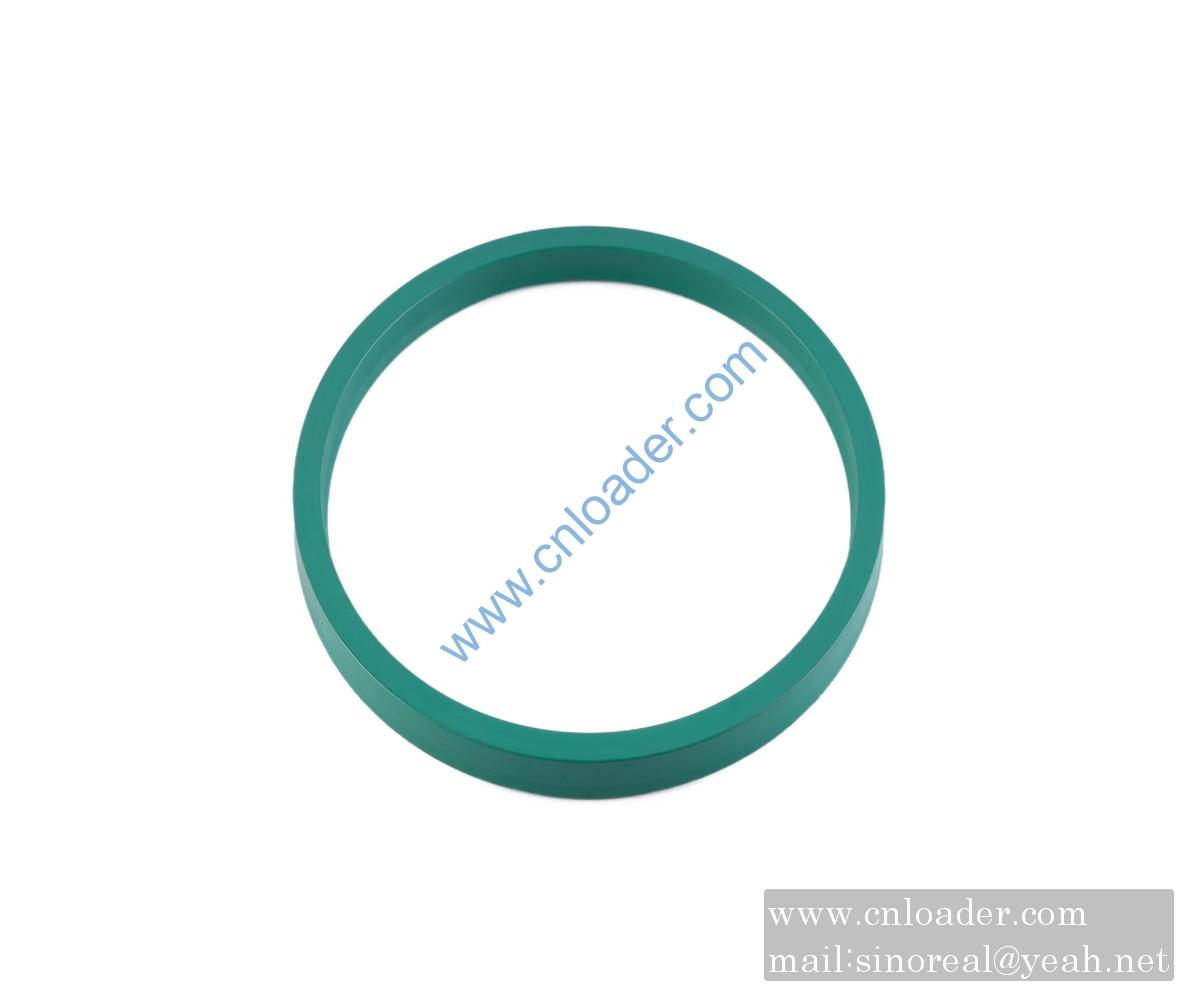 SANY parts 60210038 B3 seal ring 180×200×