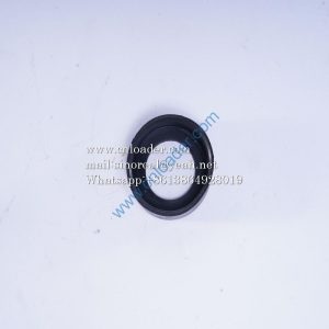 SANY parts Gasket SSY005230531